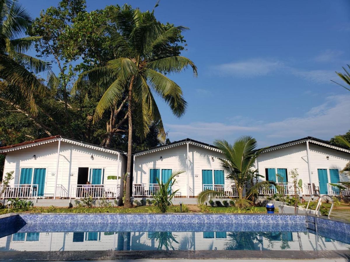 White Truffle Resort, Arambol Exteriör bild