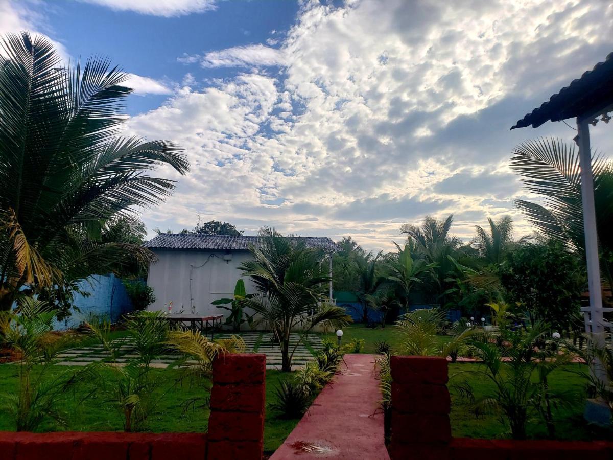 White Truffle Resort, Arambol Exteriör bild