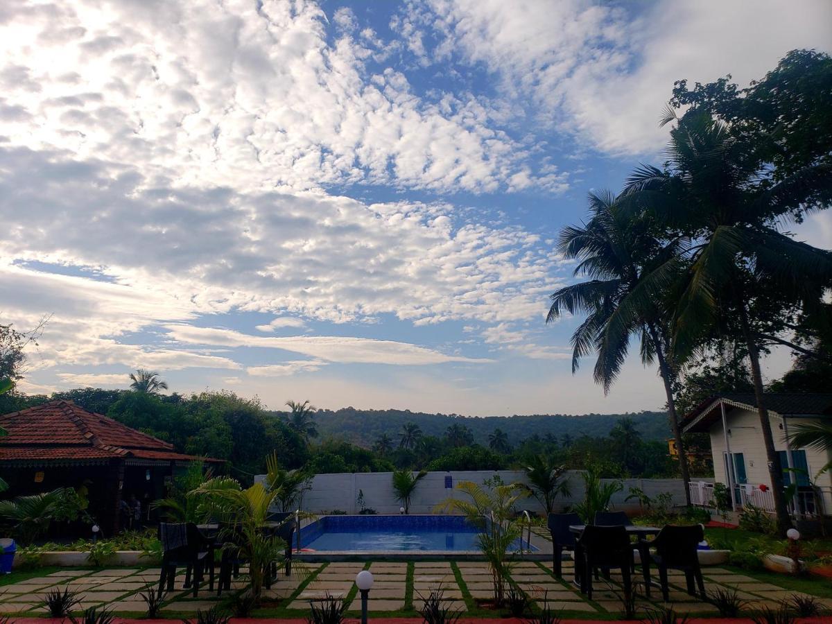 White Truffle Resort, Arambol Exteriör bild