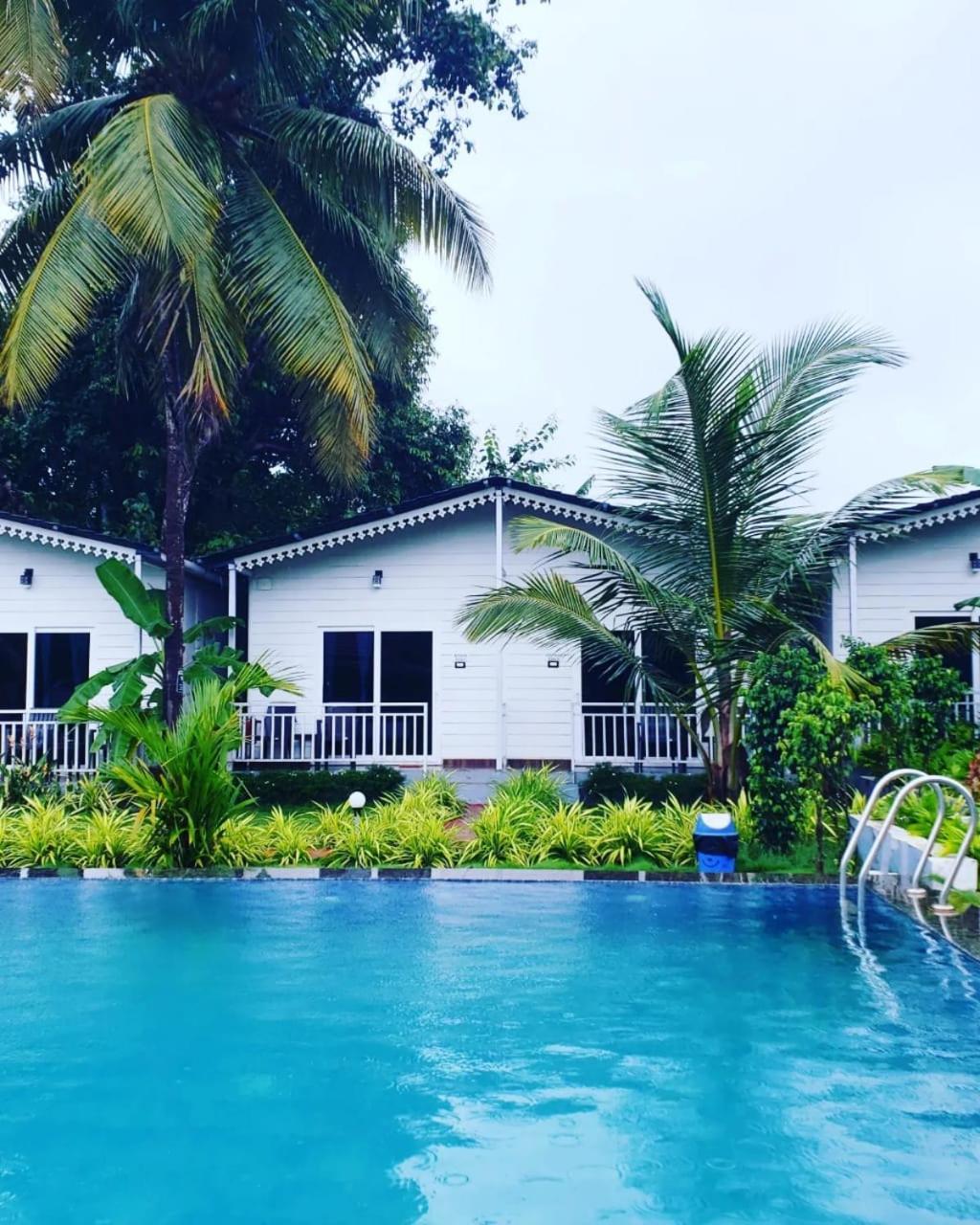 White Truffle Resort, Arambol Exteriör bild