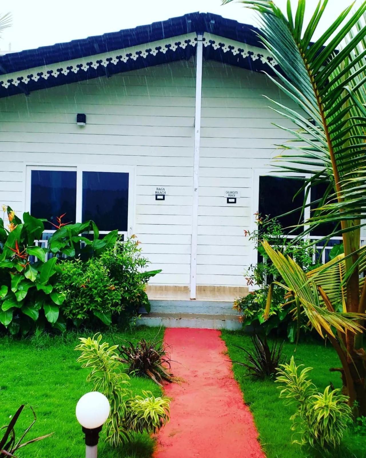 White Truffle Resort, Arambol Exteriör bild