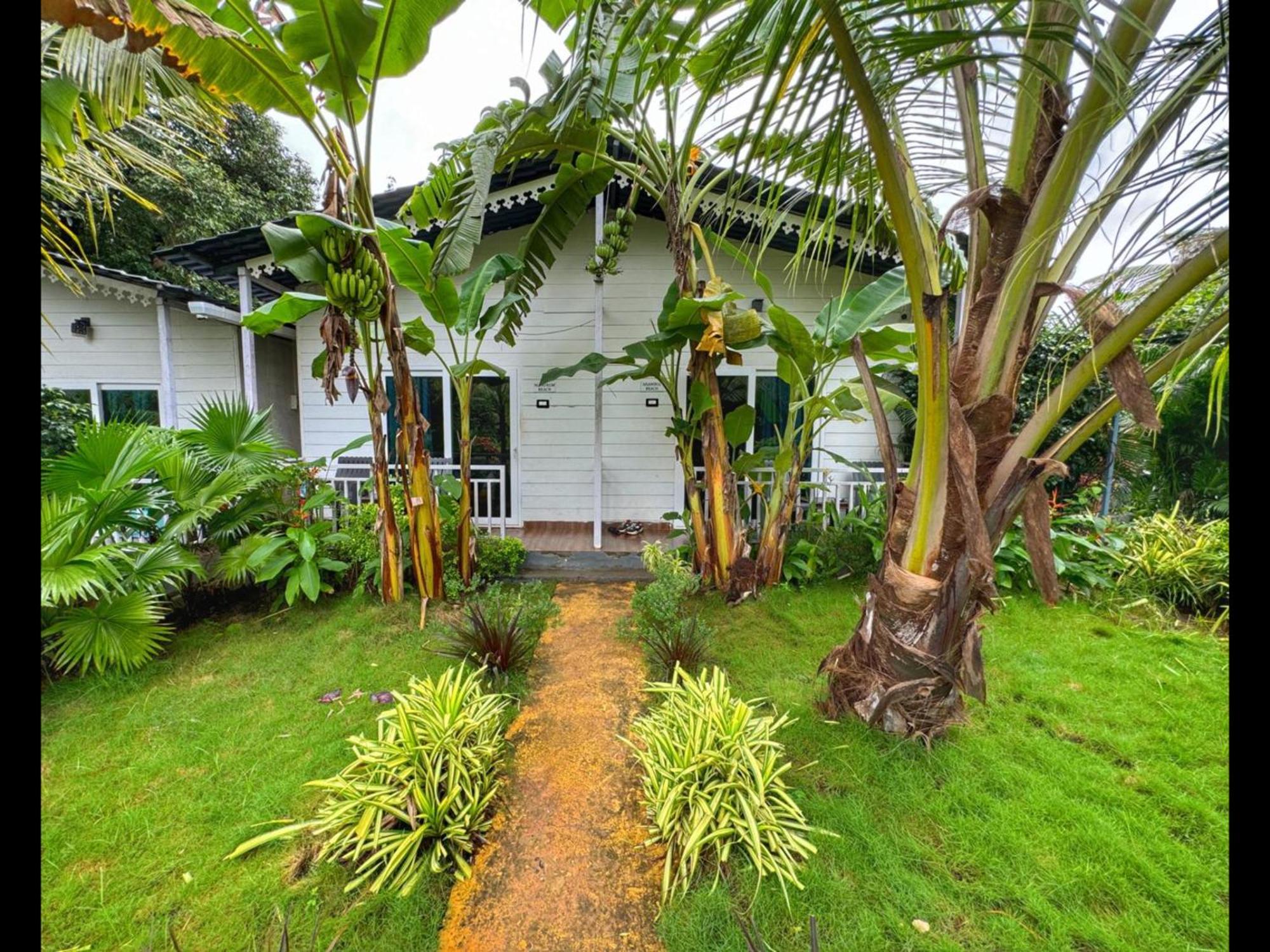 White Truffle Resort, Arambol Exteriör bild