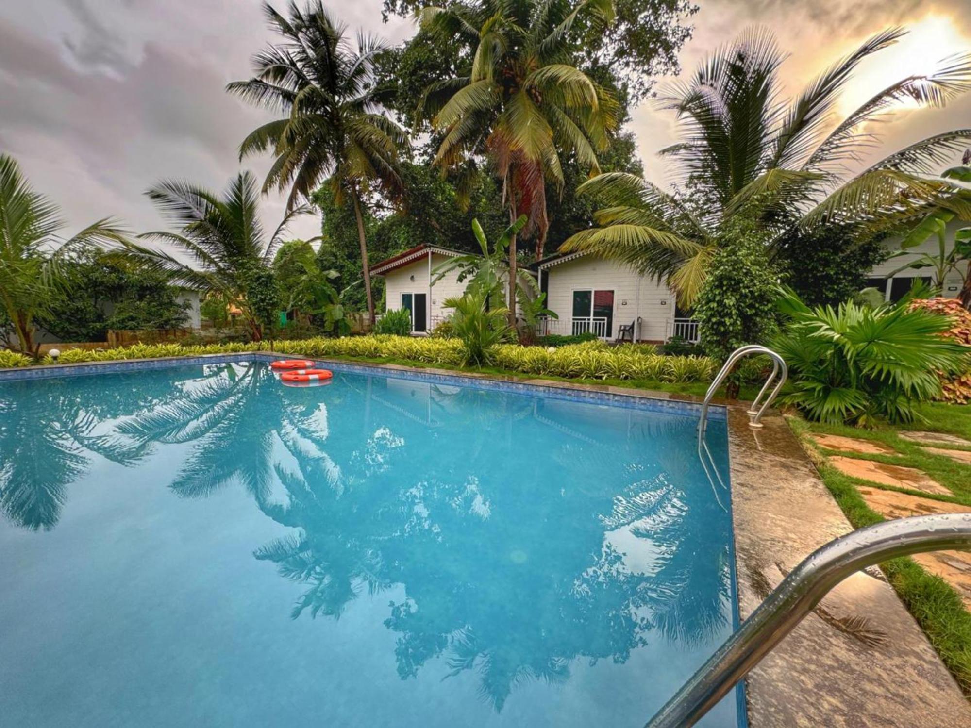 White Truffle Resort, Arambol Exteriör bild